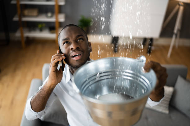Best Carpet water damage restoration  in Florida, NY